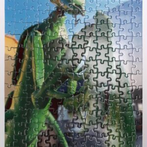 Puzzle personalizado de 192 piezas