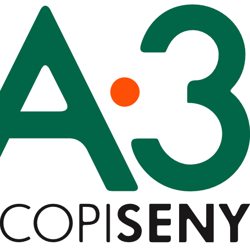 A3 COPISENY S.L.